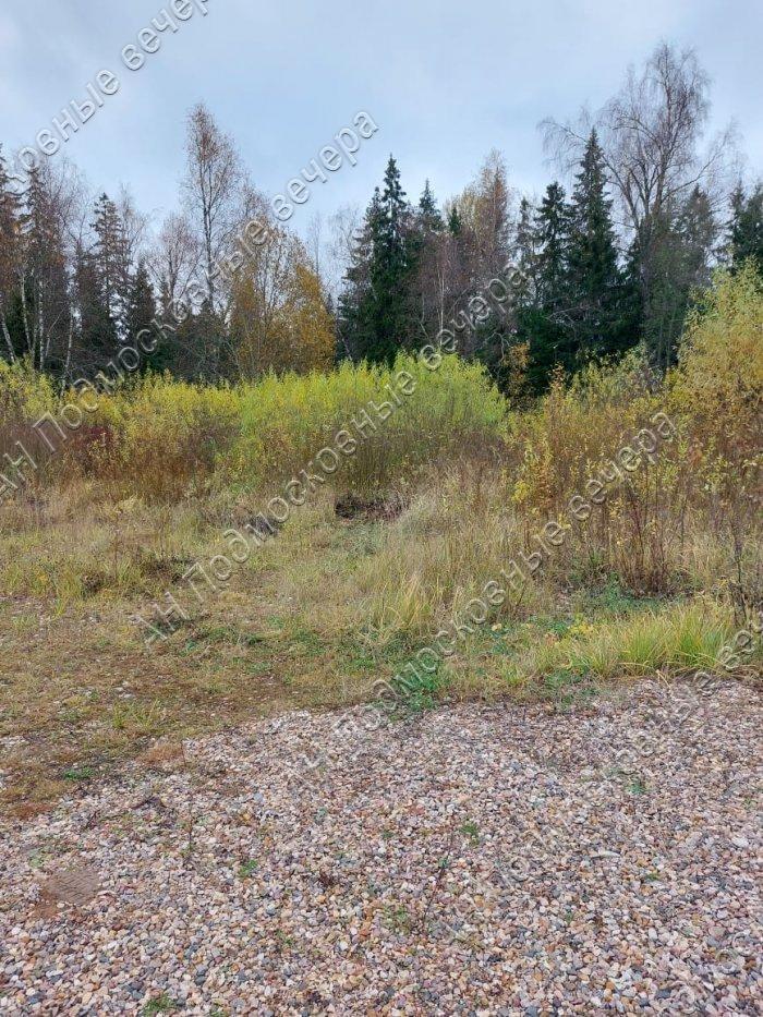 Продам участок в Дмитровском районе в Редькино