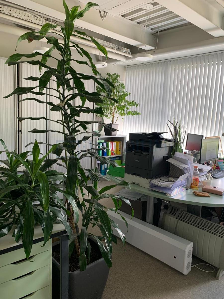 Сдается офис в Москве, Волоколамское шоссе, д 79 стр 1