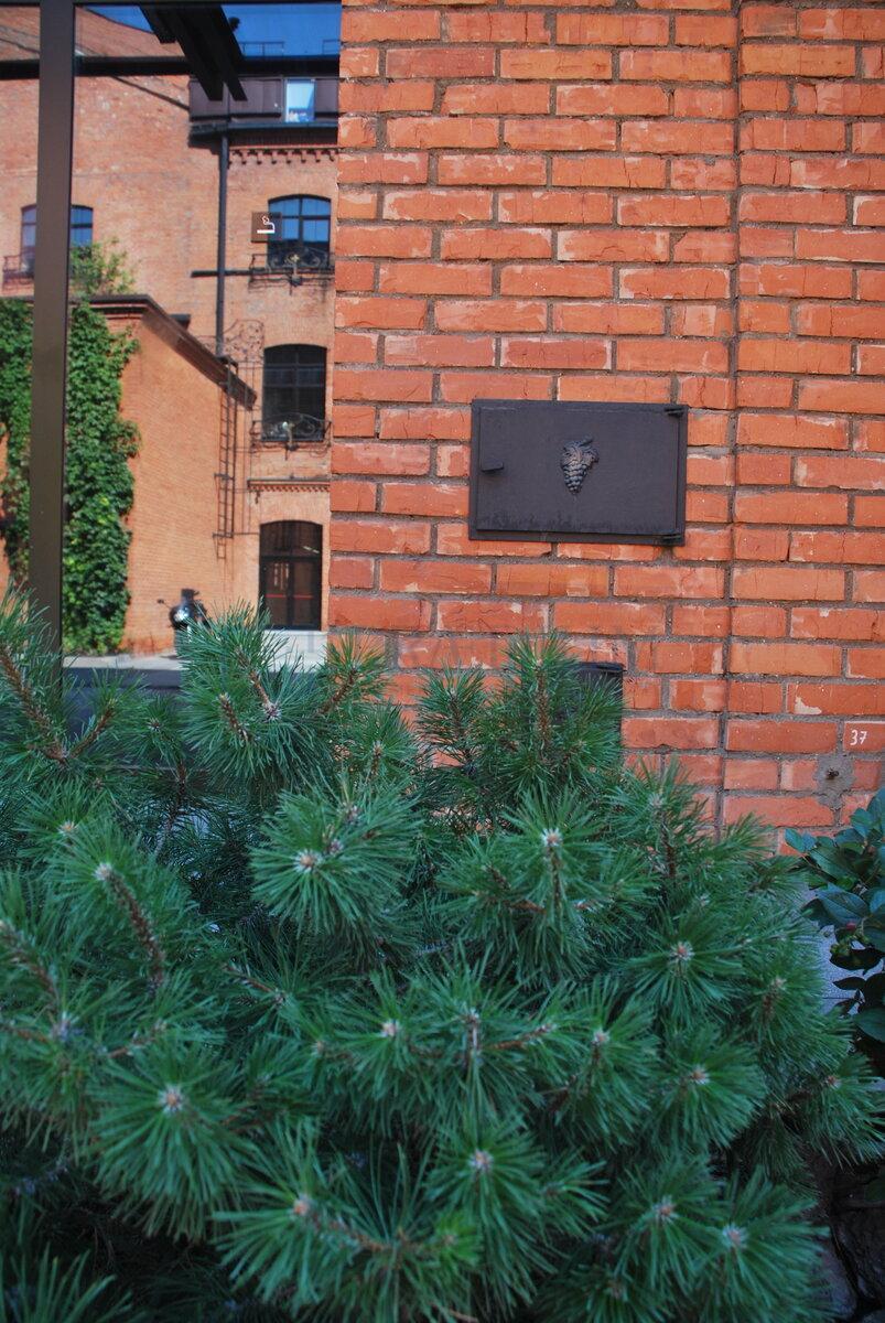 Сдается офис в Москве, Варшавское шоссе, д 9 стр 1Б