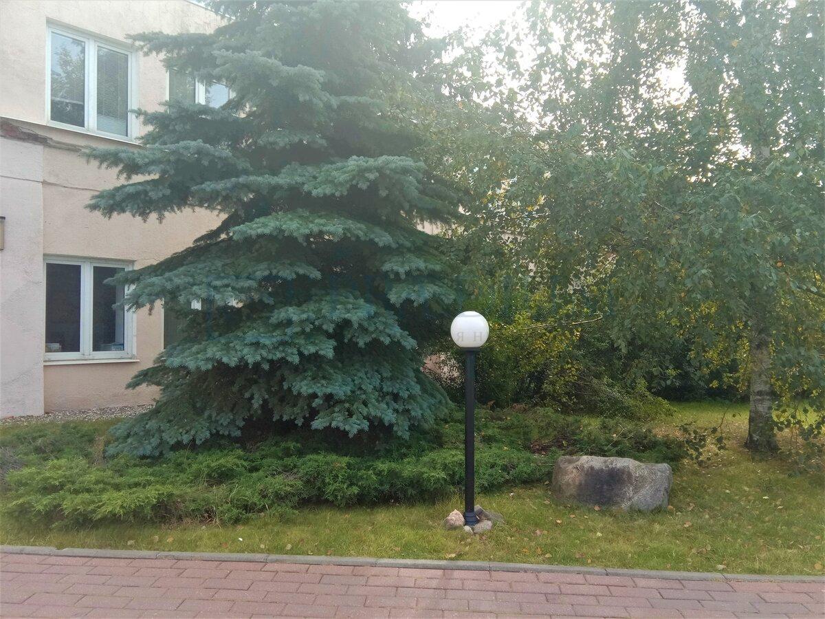 Сдается торговое помещение в Москве, д 27 стр 13