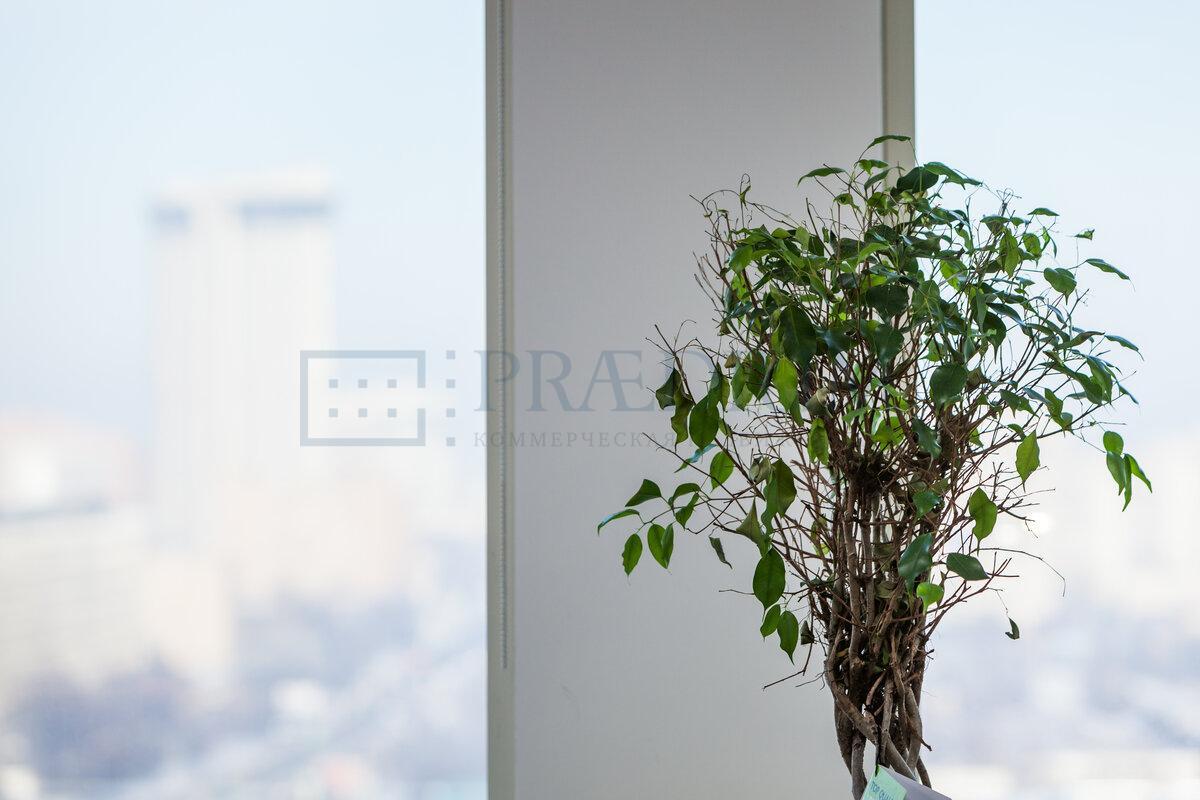 Сдается офис в Москве, д 65 стр 1