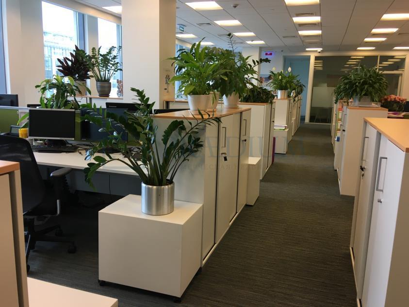 Сдается офис в Москве, д 35