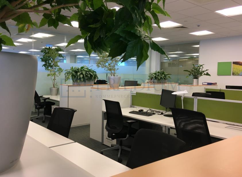 Сдается офис в Москве, д 35