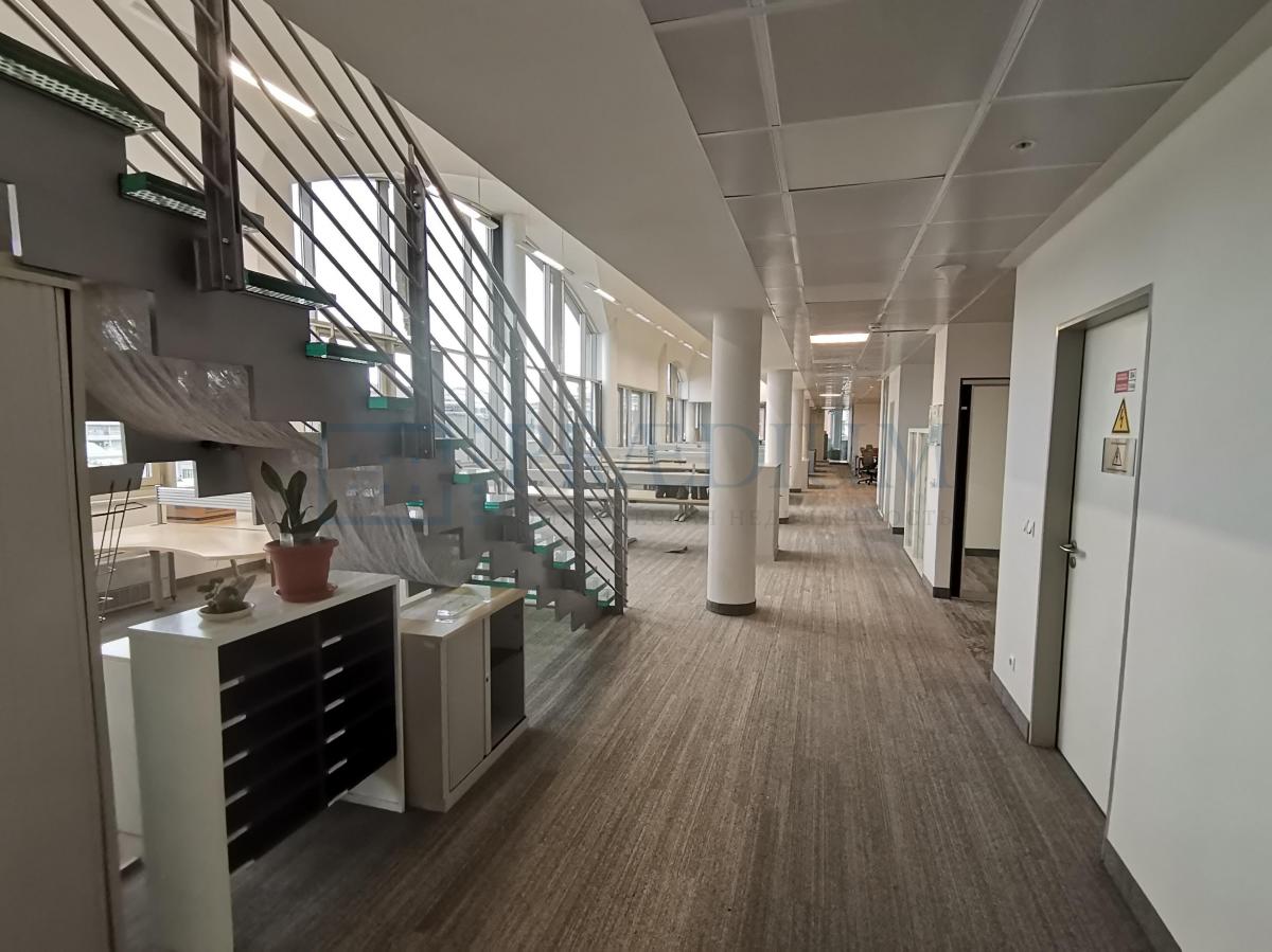 Сдается офис в Москве, д 5