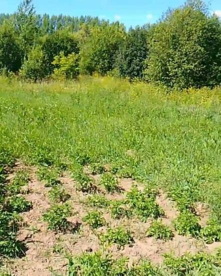 Продам дом в Верещагинском районе