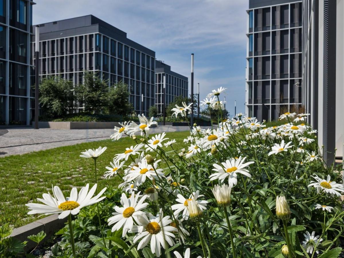 Сдается офис в Москве в НАО, д 6 стр 1