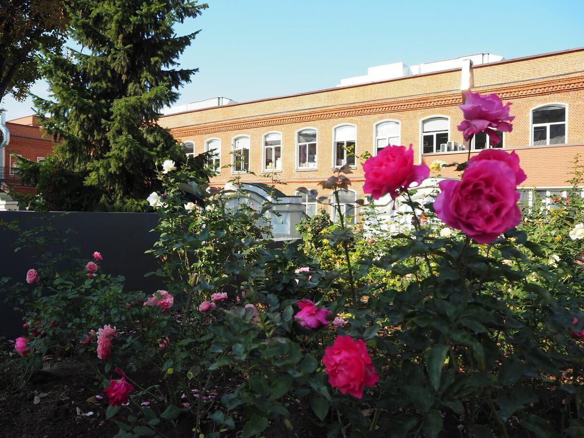 Сдается торговое помещение в Москве, влд 12 стр 6