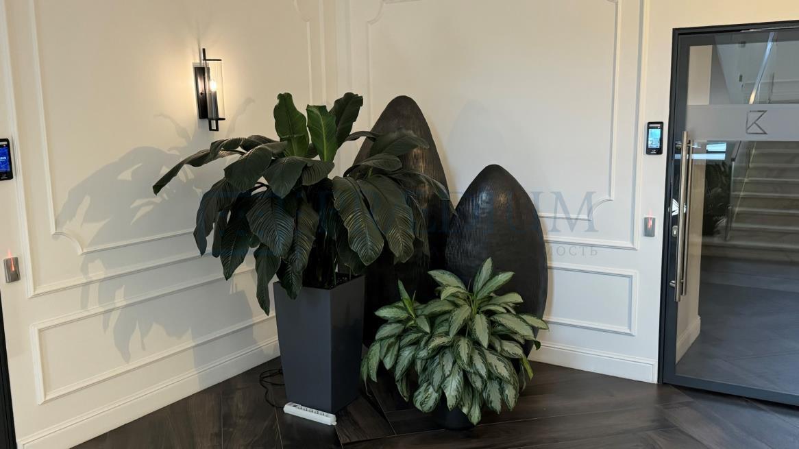 Сдается офис в Москве, д 3