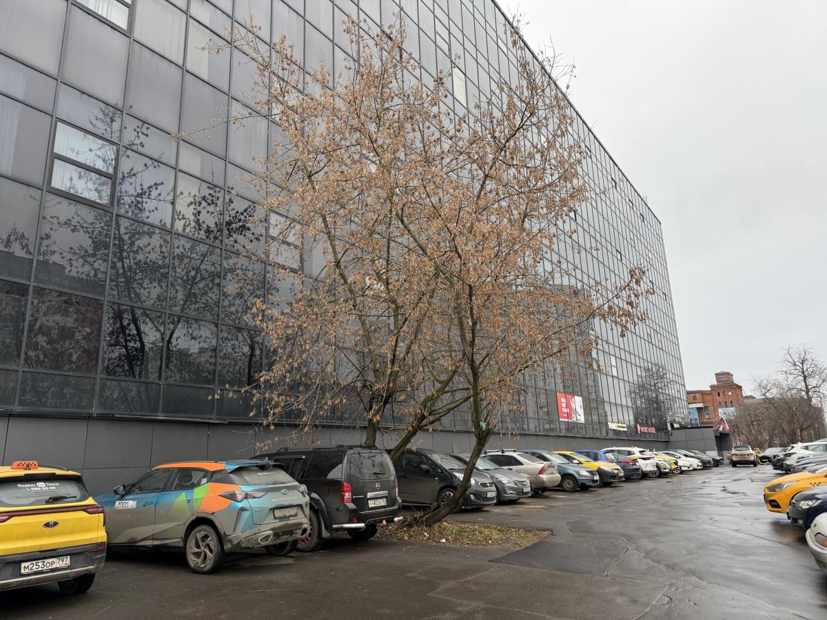 Сдается офис в Москве, дом 2,стр.1