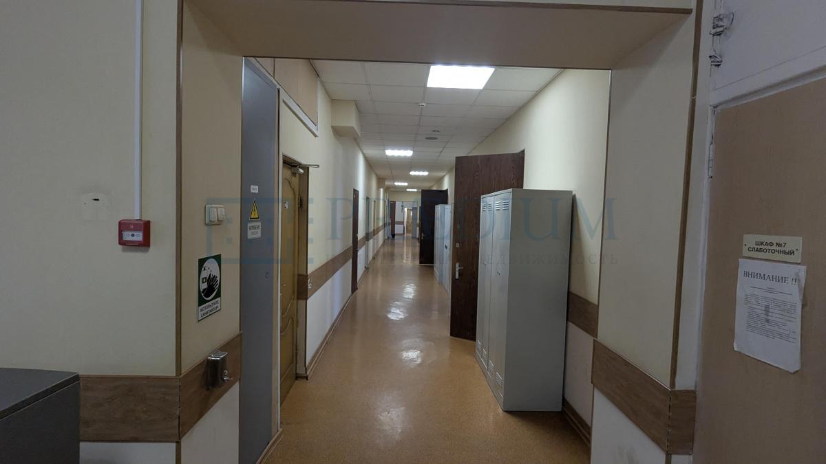 Сдается офис в, д 24