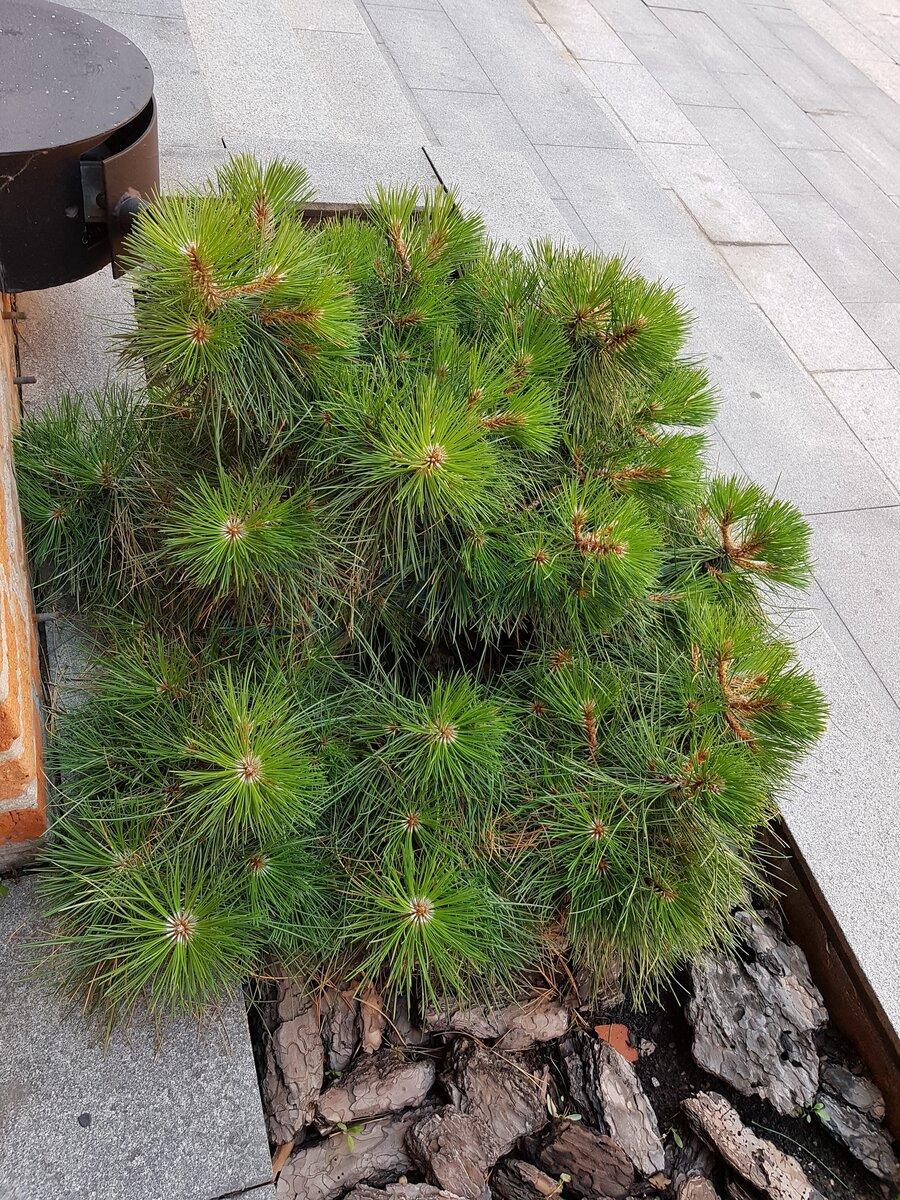 Сдается склад в Москве, Варшавское шоссе, д 9