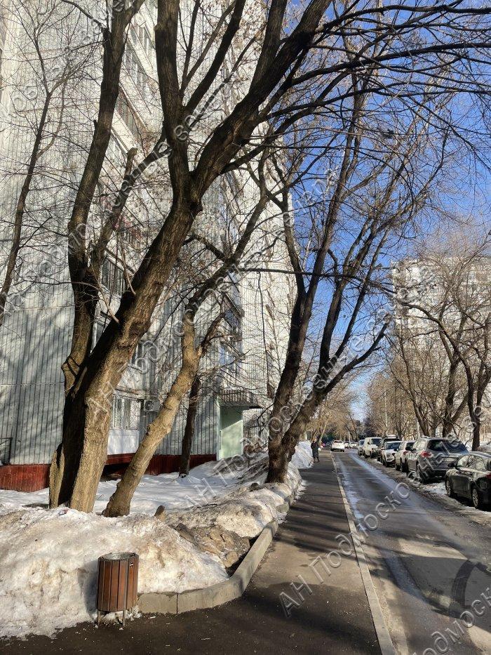 Продам 1-комнатную квартиру в Москве, 19