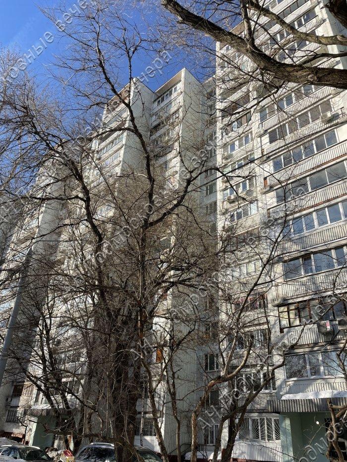Продам 1-комнатную квартиру в Москве, 19