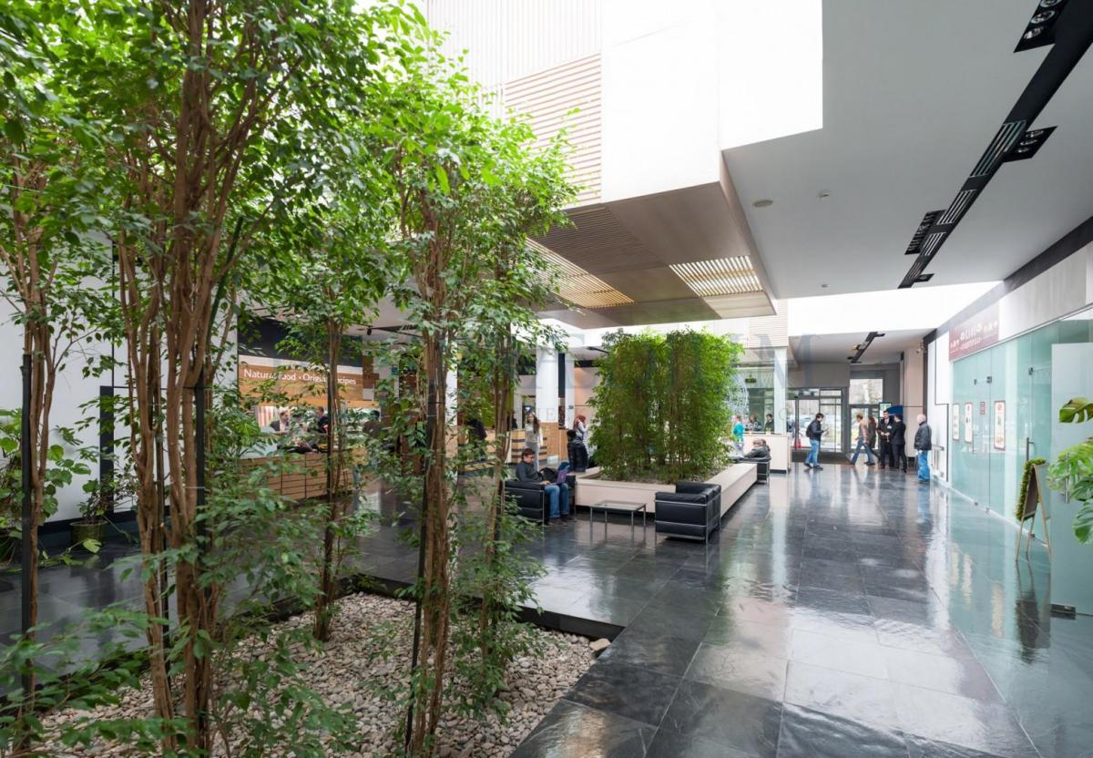 Сдается офис в Москве, д 10