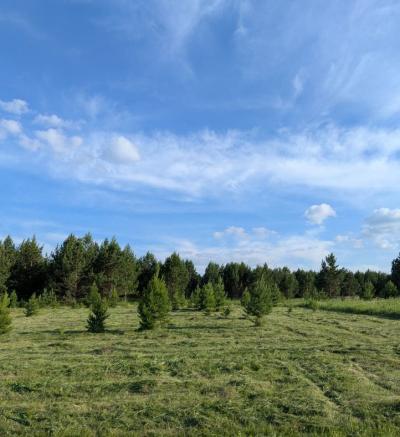Продам участок  Красноярский край, Емельяновский р-н