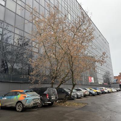 Сдается офис  Москва